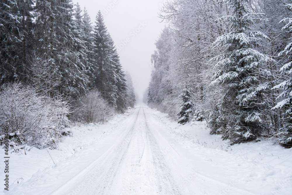 Fototapeta premium Long straight road in a forest with snow