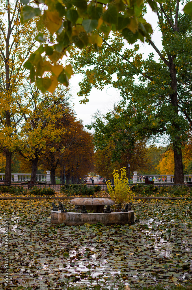 Beautiful water fountain in colorful autumn time covered with leaves