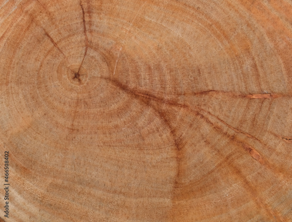 Naklejka premium Wood Log Grain Pattern