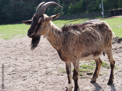Fototapeta Naklejka Na Ścianę i Meble -  OLYMPUS DIGITAL CAMERA