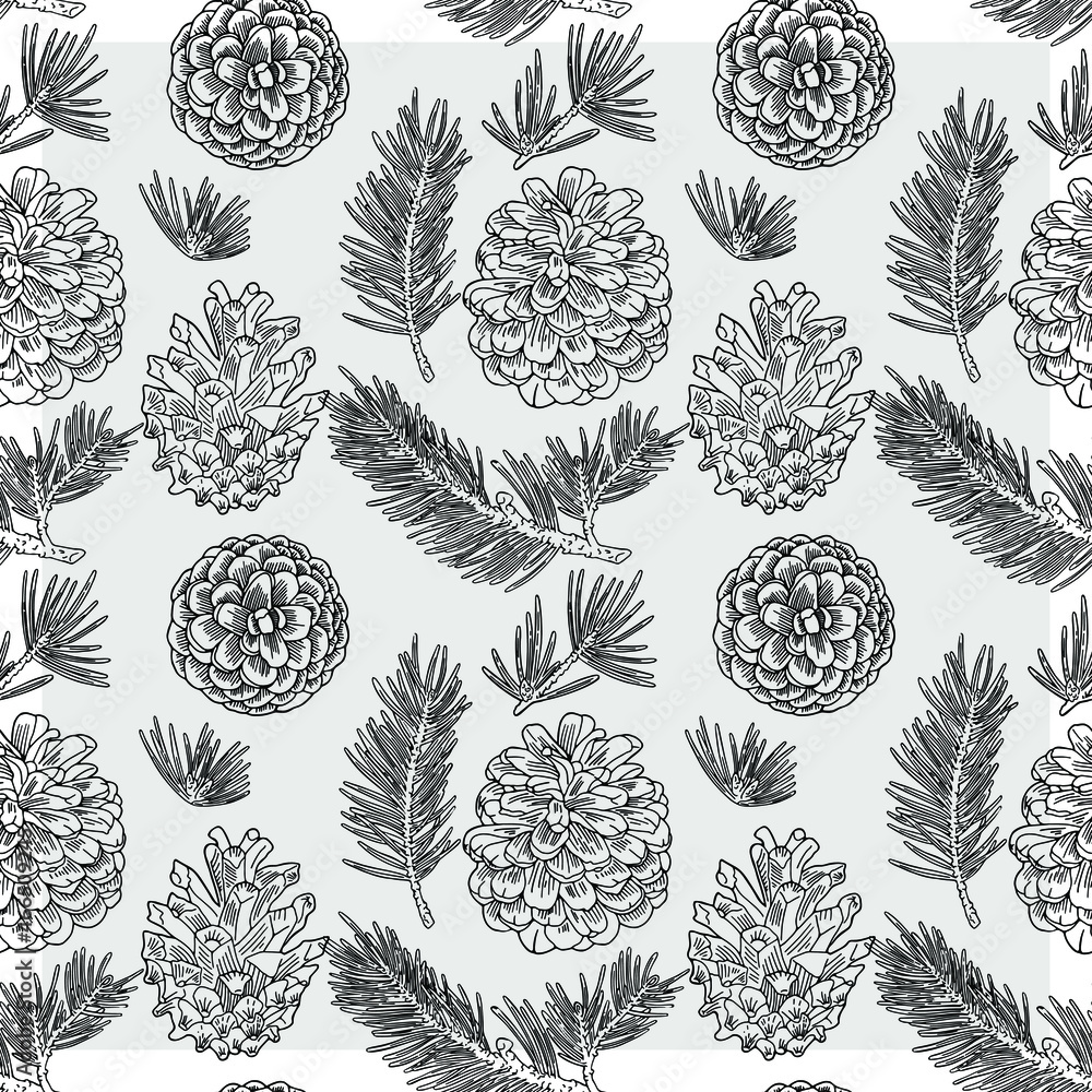 Fototapeta premium A pattern of Cones and fir branches drawn with a black line. The form is transparent. You can change the color of the pattern and background.