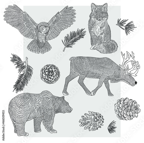 Forest animals drawn by line on a gray background. Owl, bear, fox and deer. Suitable for postcards, packaging or textiles.