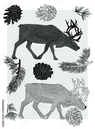 Deer and fir cones with branches. Line on a gray background. Suitable for postcards, packaging or textiles.