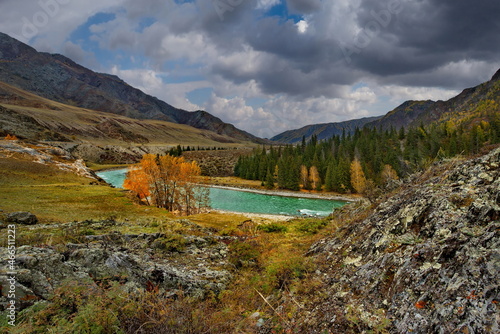 Russia. The South of Western Siberia, the Altai Mountains. Rocky mossy remains in the valley of the Chuya River near the village of Iodro along the Chuya tract.