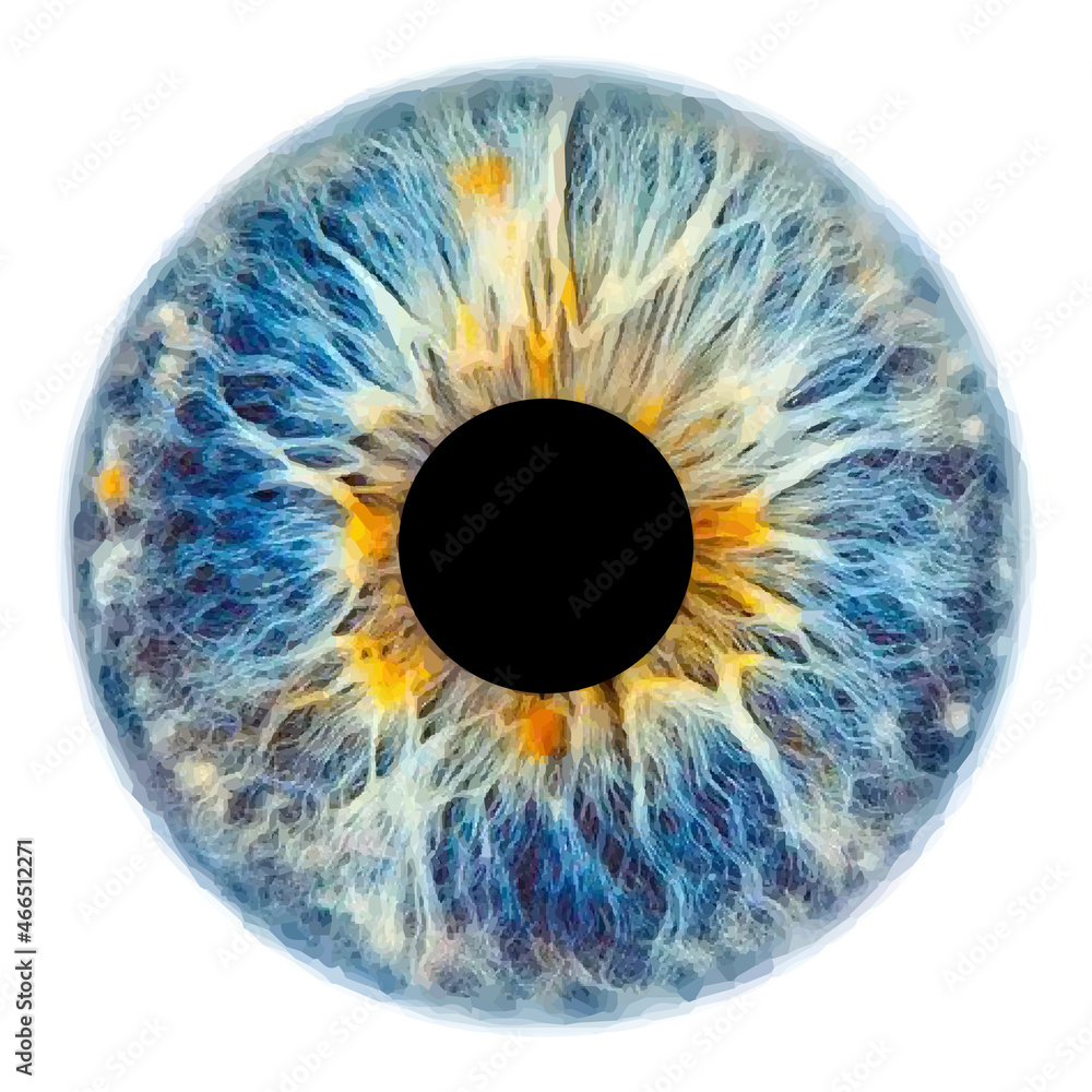 Blue eye iris pupil vector illustration isolated - obrazy, fototapety, plakaty 