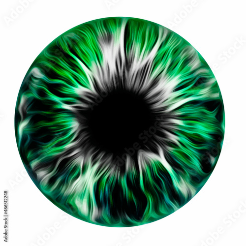 Green eye iris pupil vector illustration isolated
