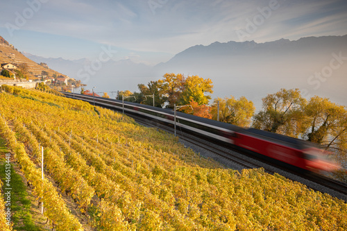 Ligne de chemin de fer au bord du lac Léman au Vignoble du canton de Vaud en Suisse photo