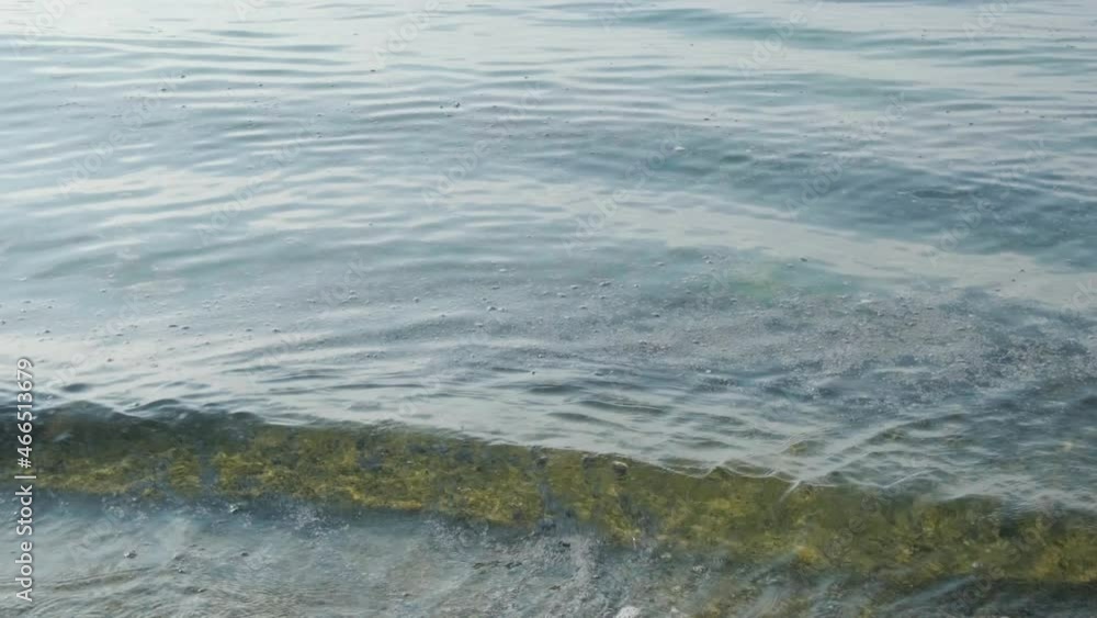 沖縄の海(備瀬ビーチ)に漂着する軽石 沖縄の海(備瀬ビーチ)に漂着する軽石