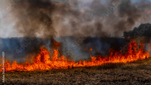 A fire on the stubble of a wheat field after harvesting. Enriching the soil with natural ash fertilizer in the field after harvesting wheat. © Danil Evskiy