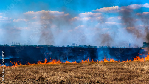 A fire on the stubble of a wheat field after harvesting. Enriching the soil with natural ash fertilizer in the field after harvesting wheat. photo