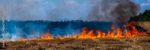 Photos A fire on the stubble of a wheat field after harvesting