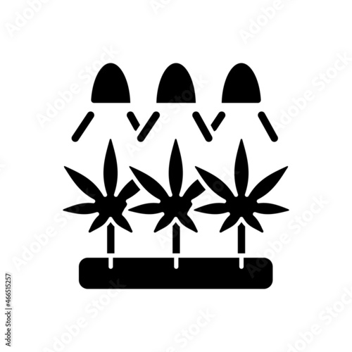 Cannabis cultivation black glyph icon. Grow herbs under artificial light. Marijuana seeds germination. Industrial hemp farm. Hydroponics. Silhouette symbol on white space. Vector isolated illustration