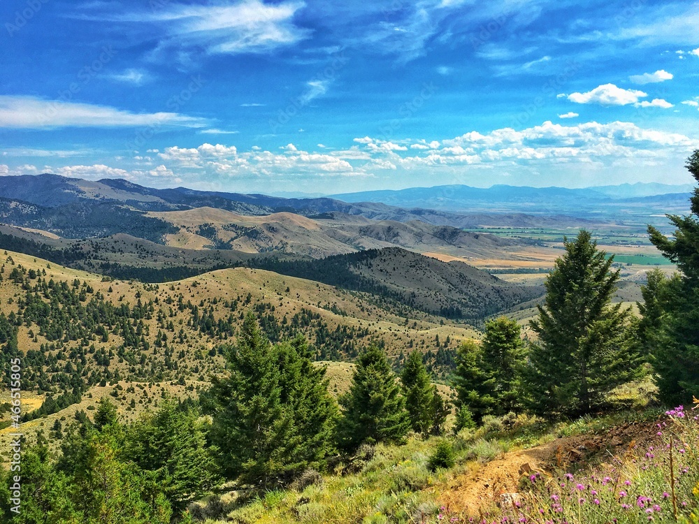 Fototapeta premium landscape with mountains