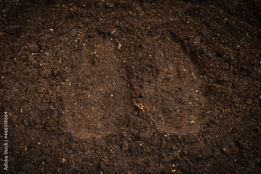 Woman hand trace on a ground. Woman hand trace on a ground.