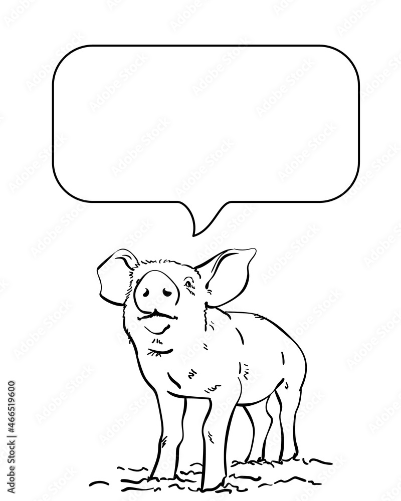 Sketch of pig and speech bubble, Hand drawn vector linear illustration Sketch of pig and speech bubble, Hand drawn vector linear illustration