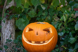 face carved in a bright orange pumpkin with a spider emerging from a eye ready for halloween