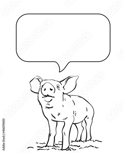 Sketch of pig and speech bubble, Hand drawn vector linear illustration