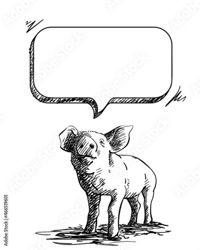 Sketch of pig and speech bubble, Hand drawn vector illustration