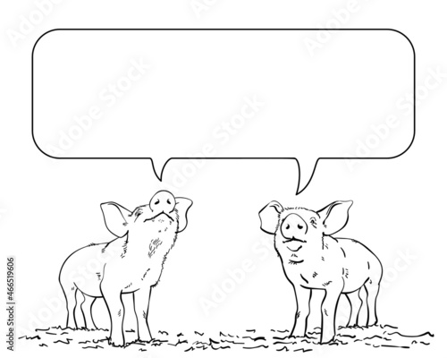 Sketch of two talking pigs and cartoon speech bubble, Hand drawn vector linear illustration