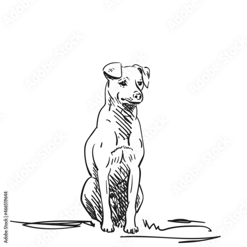 Dog sitting looking calm vector drawing, Hand drawn illustration, Isolated pet animal black pen sketch on white