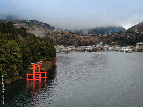 Torii in japan from a bird's eye view