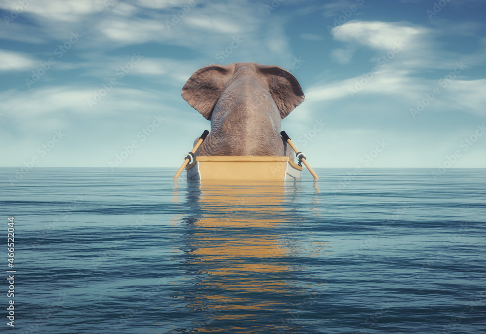 Fototapeta premium Elephant on a boat in the ocean.
