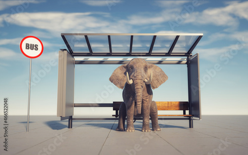 Photography Elephant sitting in a bus station.