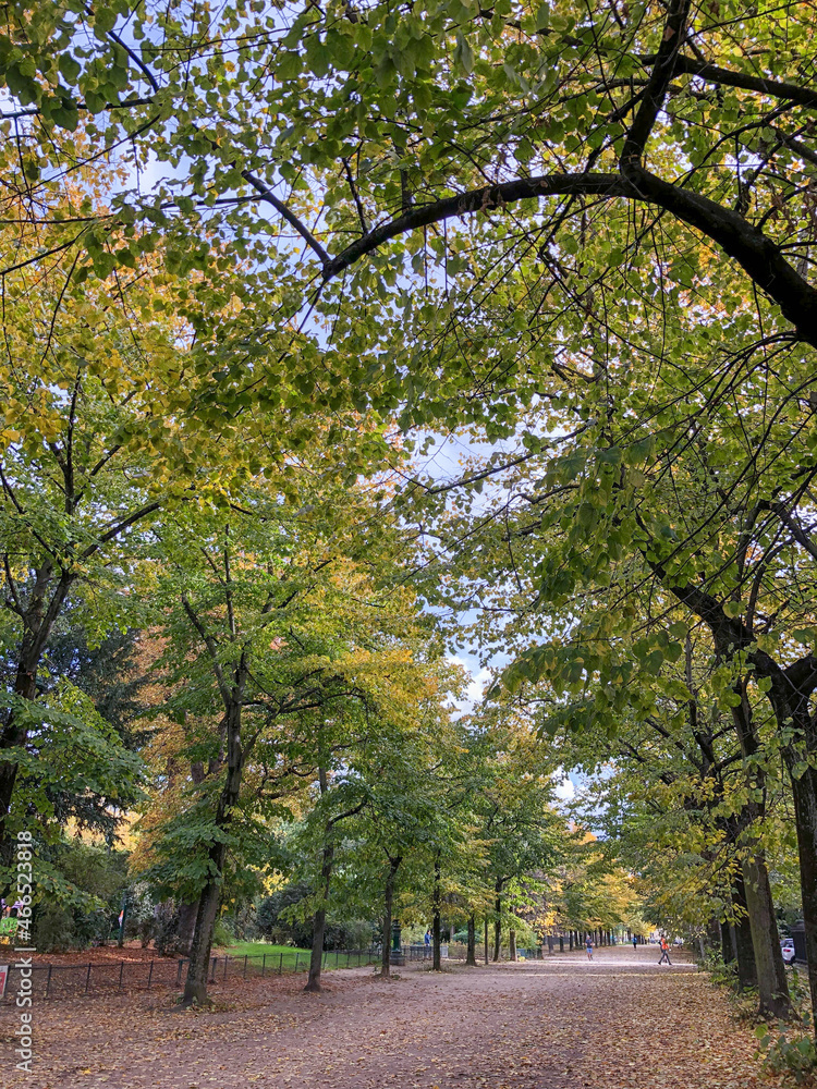 Naklejka premium Autumn in the park of Champ de Mars, Paris, France