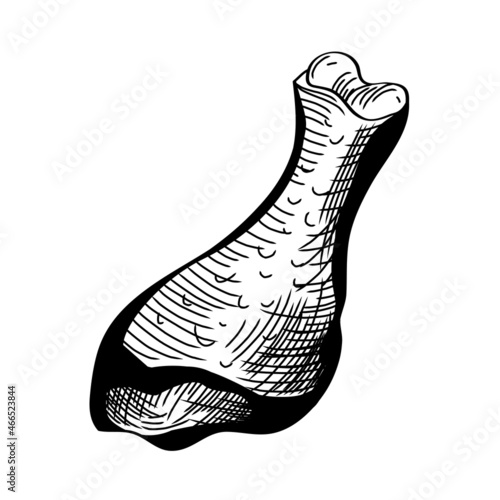 Chicken legs on white. Meat old style art in retro style. Vector black line art illustration.