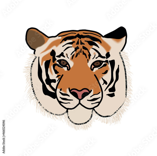 Tiger head free-hand draw and paint color on white background illustration.