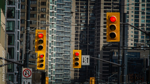 Canvas Print Array of traffic lights