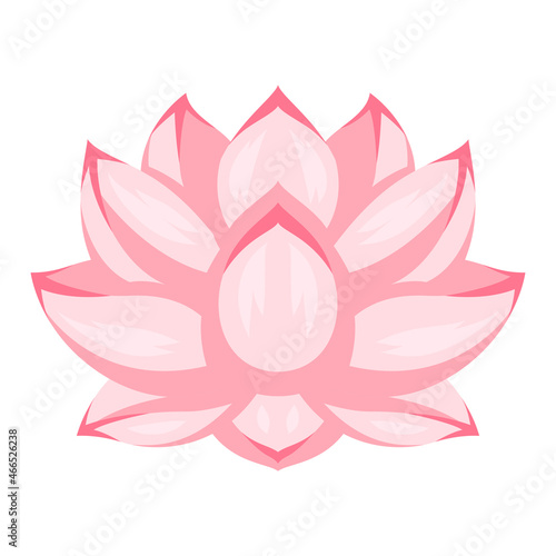Illustration of lotus flower. Water lily image.
