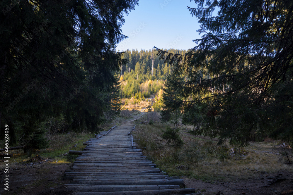 autumn in the Carpathian mountains autumn in the Carpathian mountains