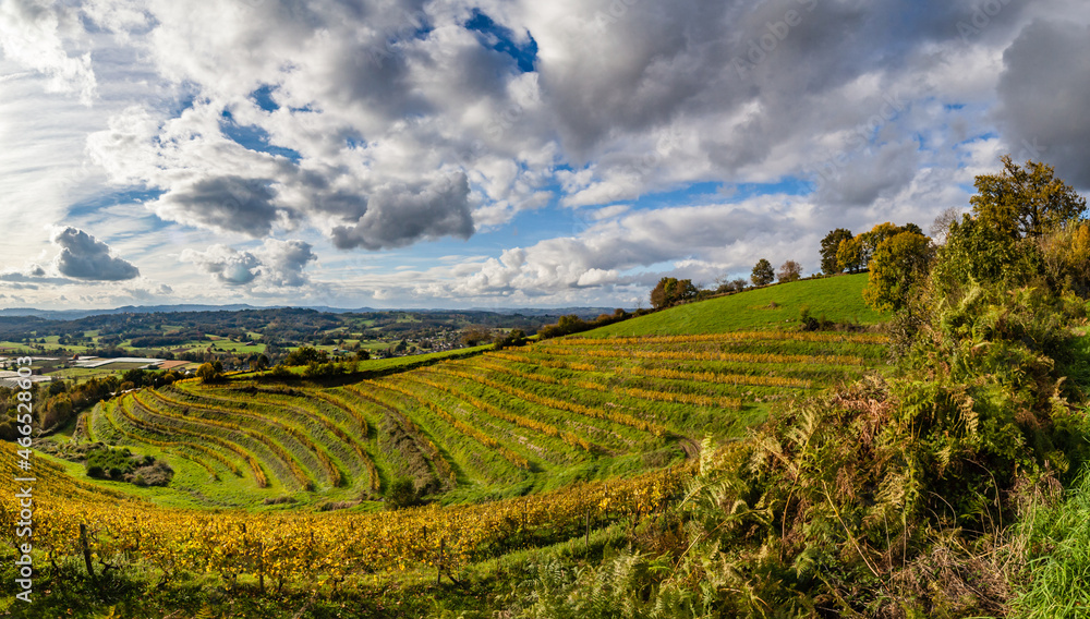 Allassac (Corrèze, France) - La Chartroulle - Vue panoramique des vignobles de la vallée de la Vézère en automne