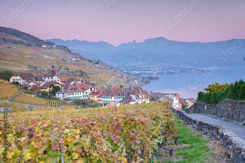 Le village de Rivaz située dans les vignobles du Canton de Vaud en Suisse photo