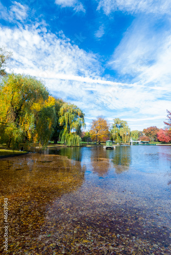 Fototapeta Naklejka Na Ścianę i Meble -  Boston Common in fall, pond, bridge, blue sky with white clouds