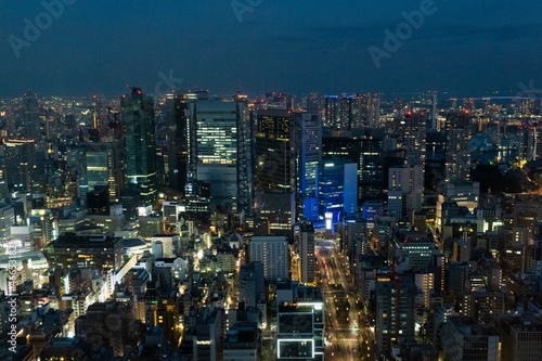 Tokyo city at night © Mana Wada