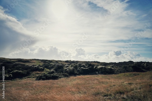 clouds with silver Oldman beard seed glistening in the sun with golden grass blowing in the wind