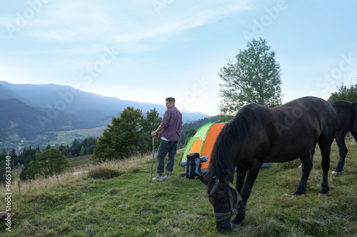 Tourist and horse near camping tent in mountains © New Africa
