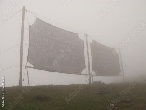 Fog collector in the field photo