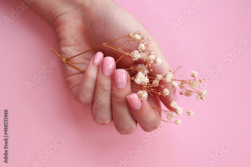 Female hands with pink nail design. Female hand hold gypsophila flower. Pink nail polish manicure on pink background