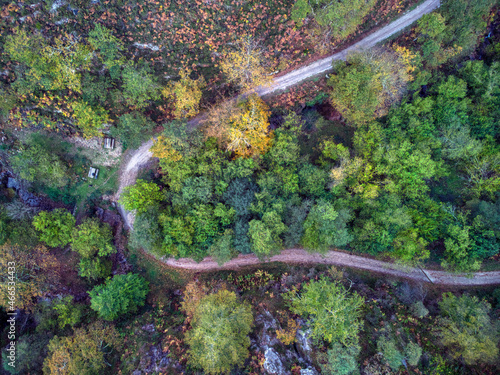 Autumnal path in a forest in Asturias, Spain. photo