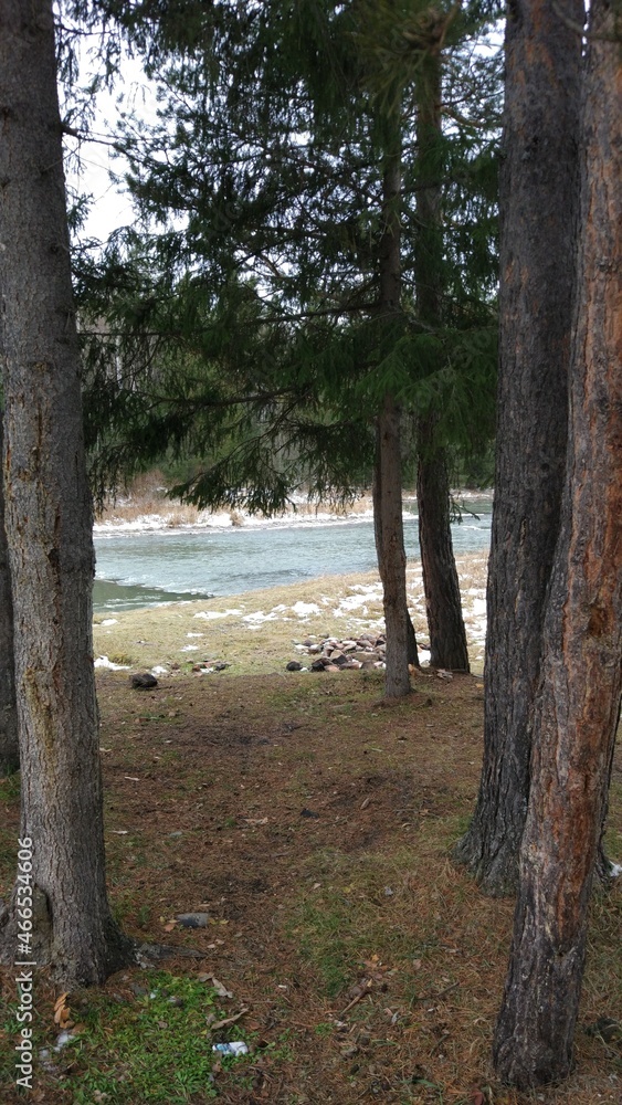 Late autumn. It's already cold and snowing. The mountain river begins to freeze and is covered with ice. Late autumn. It's already cold and snowing. The mountain river begins to freeze and is covered with ice.