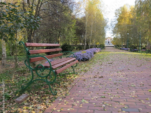 Autumn beautiful park with benches. Outdoor landscape Modern photo