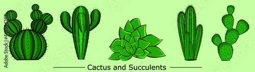 Green Cactus and Succulents~