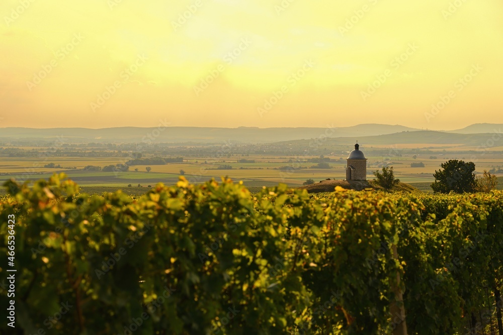 Vineyards under Palava.  Southern Moravia, Czech Republic in autumn time wine harvest. Chapel of St. Cyril and Methodius, Wenceslas and Urban - Hradistek.