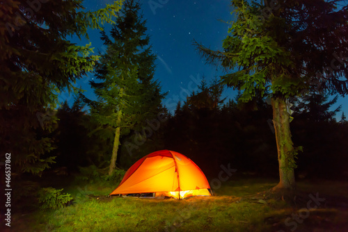 Orange illuminated tent in dark night forest with night sky and stars