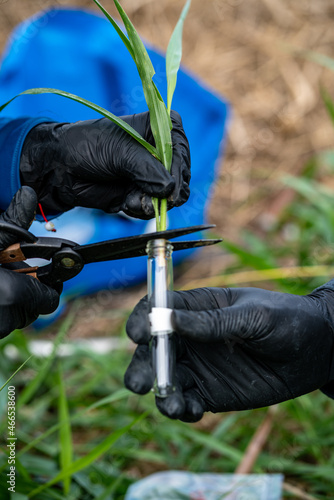 Soil and water sample for environmental analysis 