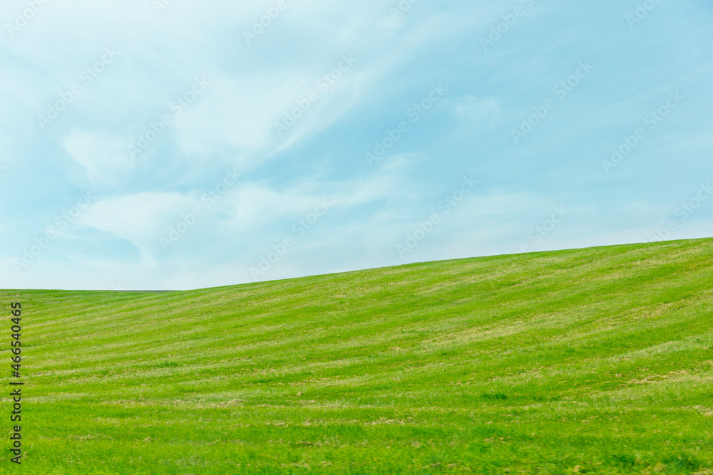 green hilly field under blue sky green hilly field under blue sky