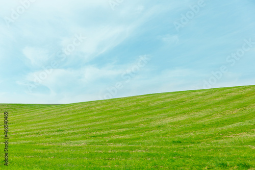 green hilly field under blue sky
